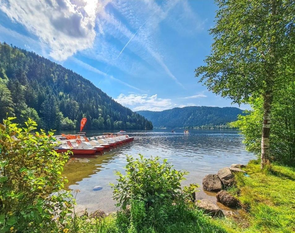 Gite Spa "La Foret Argentee" Proche Gerardmer Laveline-du-Houx المظهر الخارجي الصورة