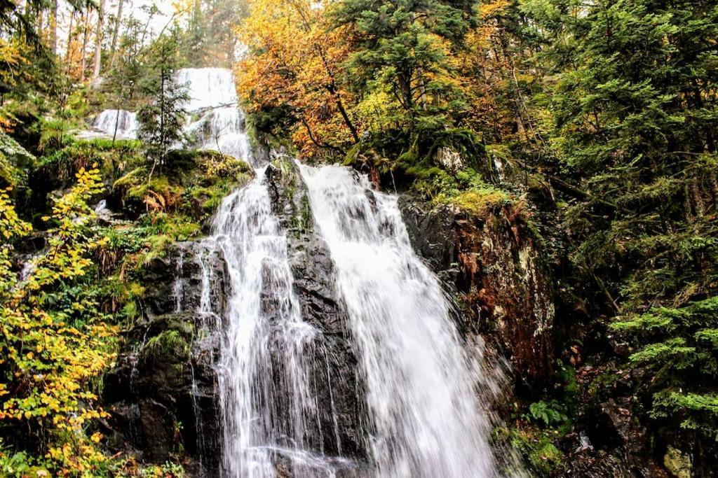 Gite Spa "La Foret Argentee" Proche Gerardmer Laveline-du-Houx المظهر الخارجي الصورة